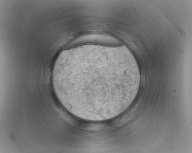 X0000115030458200911231116