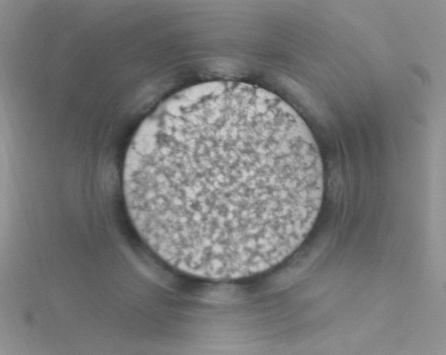 X0000115030459200911231116