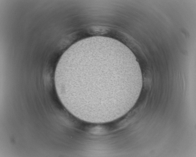 X0000115030460200911231116