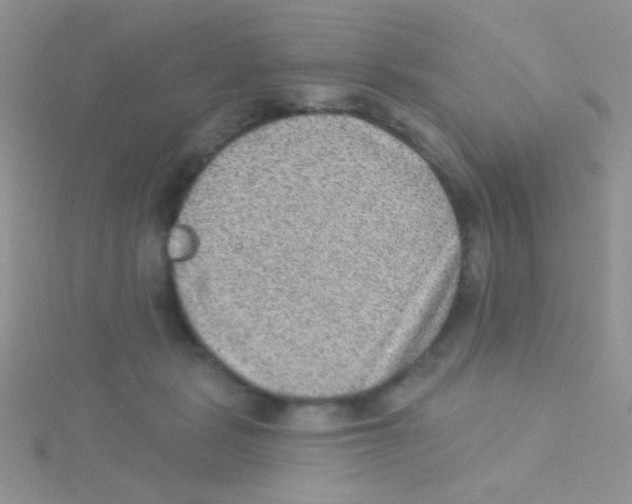 X0000115030461200911231116