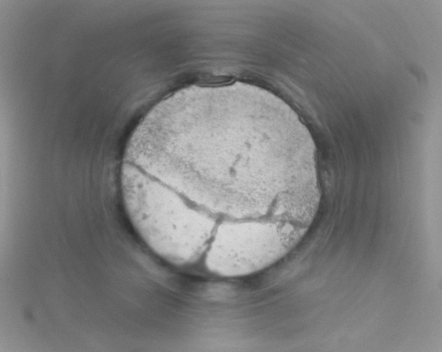 X0000115030462200911231116