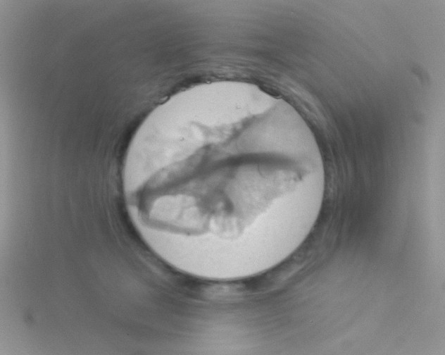 X0000115030465200911231116