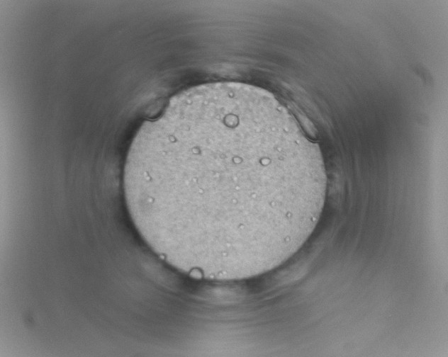 X0000115030466200911231116