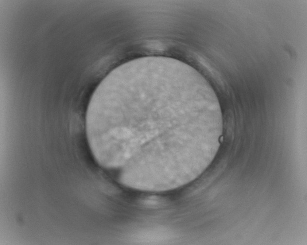 X0000115030467200911231116