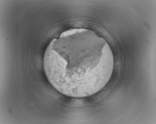 X0000115030469200911231116