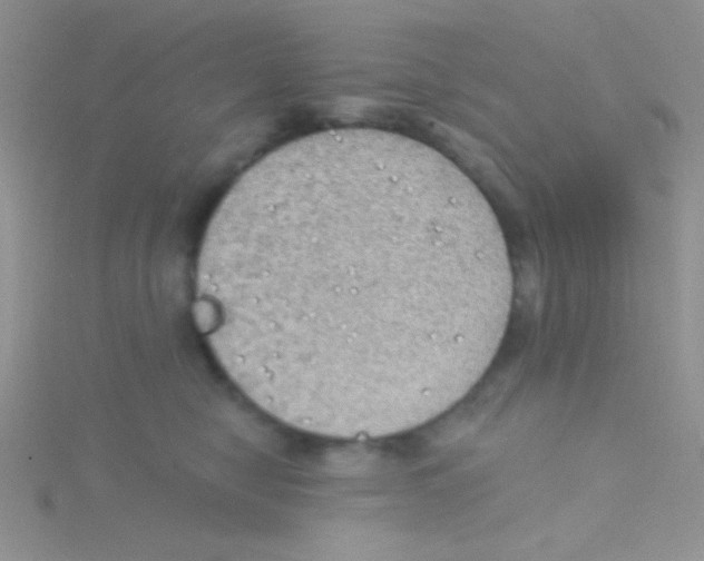 X0000115030470200911231116