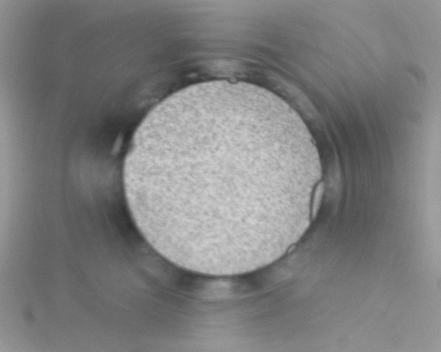 X0000115030473200911231116