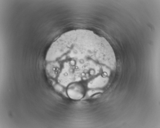 X0000115030474200911231116