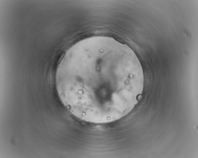 X0000115030475200911231116