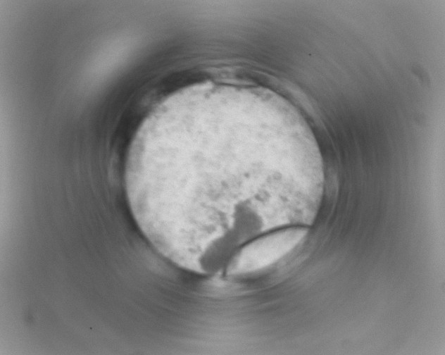 X0000115030477200911231116