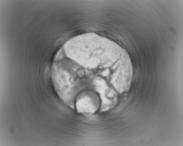 X0000115030478200911231116