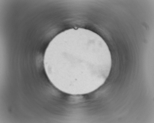 X0000115030480200911231116