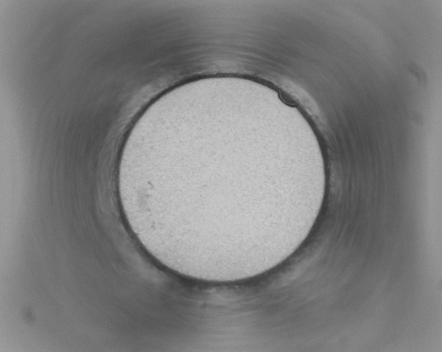 X0000115030481200911231115