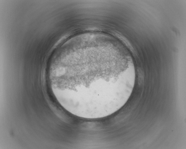 X0000115030482200911231115