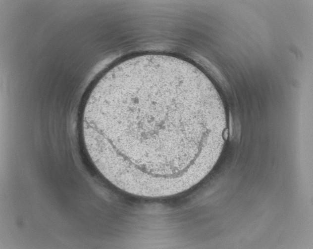 X0000115030483200911231115