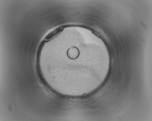 X0000115030484200911231115