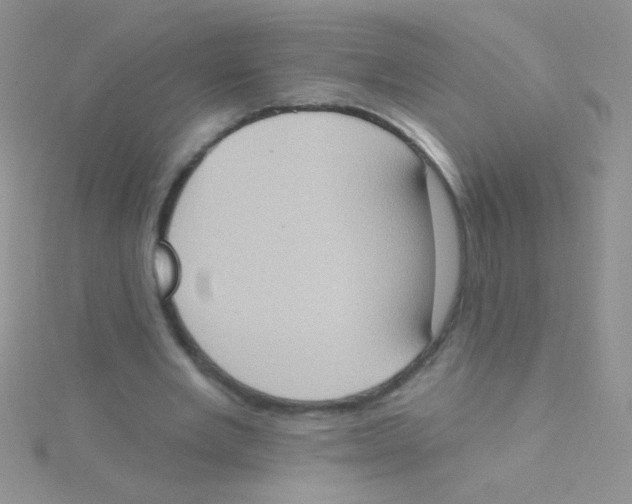 X0000115030485200911231115