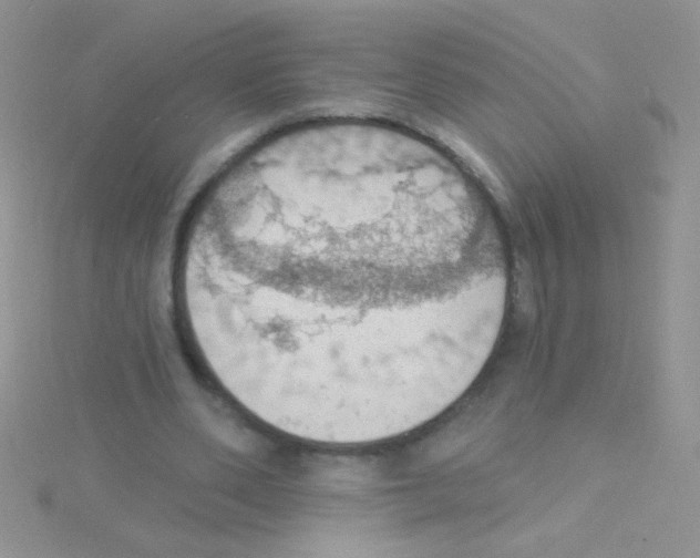 X0000115030486200911231115