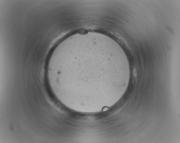 X0000115030492200911231115