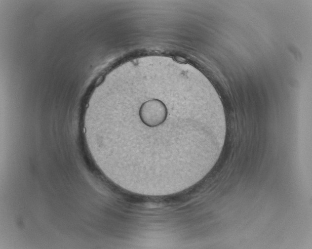 X0000115030496200911231115