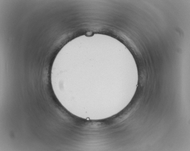 X0000115030497200911231115