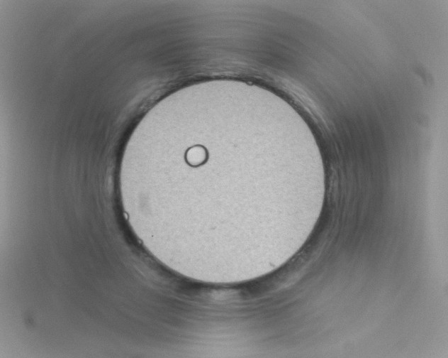 X0000115030501200911231115