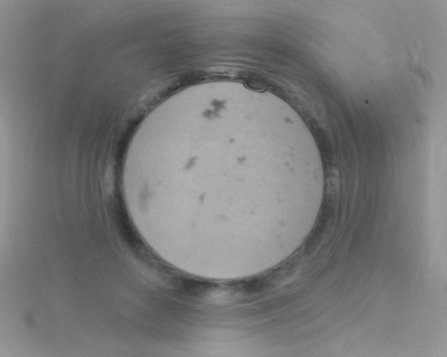 X0000115030504200911231115