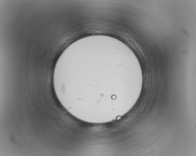 X0000115030505200911231115