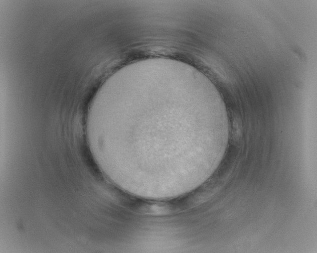 X0000115030506200911231115