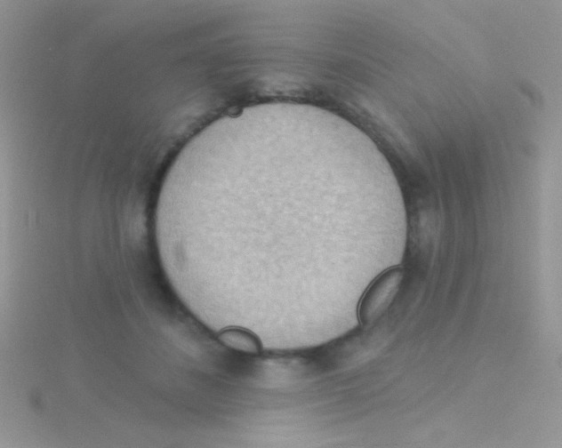 X0000115030508200911231115