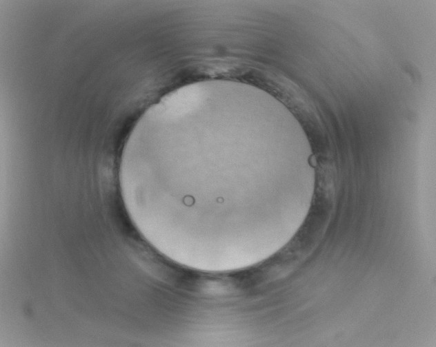 X0000115030510200911231115