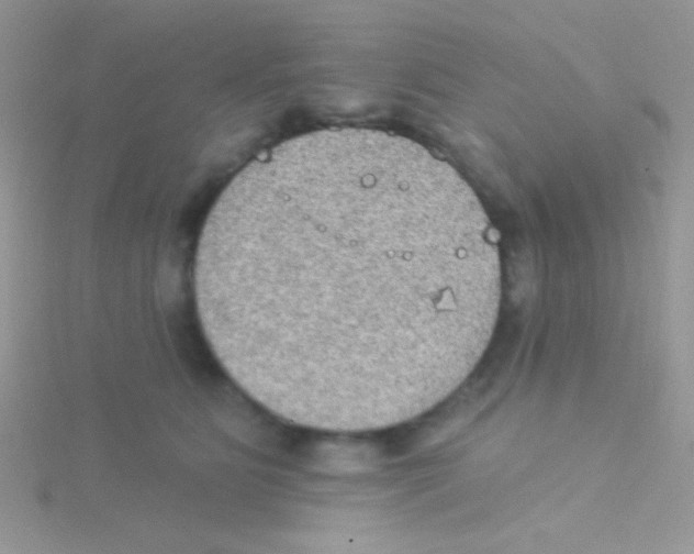 X0000115030515200911231115