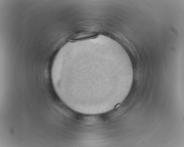 X0000115030516200911231115