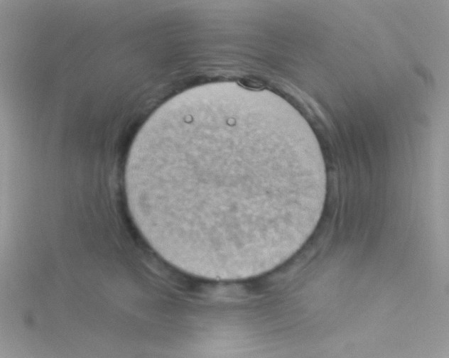 X0000115030517200911231115