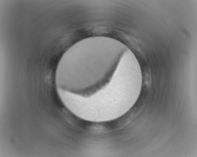 X0000115030519200911231115