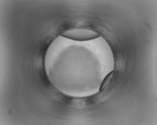 X0000115030520200911231115