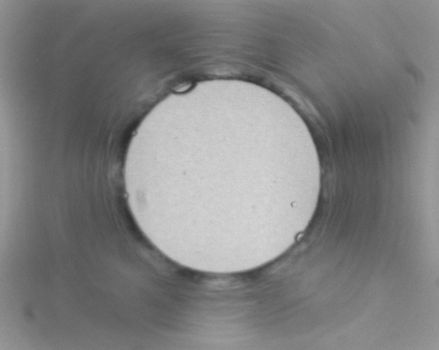 X0000115030521200911231115