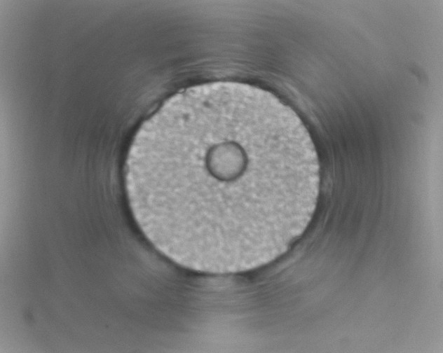 X0000115030524200911231115