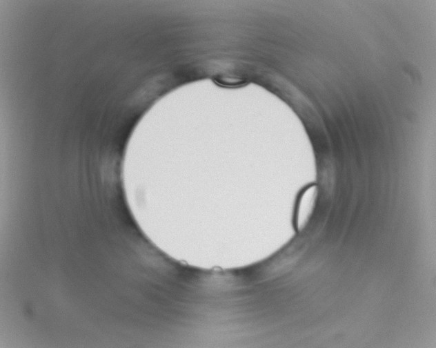 X0000115030525200911231115