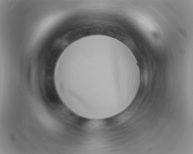 X0000115030526200911231115