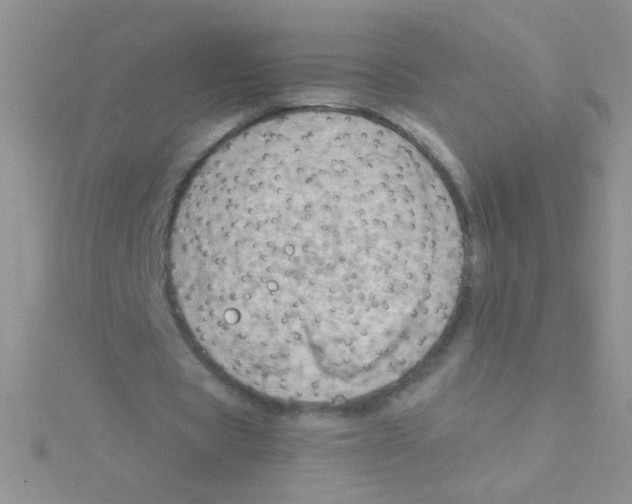 X0000115030529200911231114