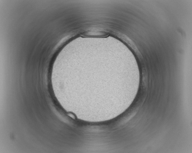 X0000115030530200911231114