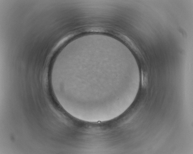 X0000115030531200911231114