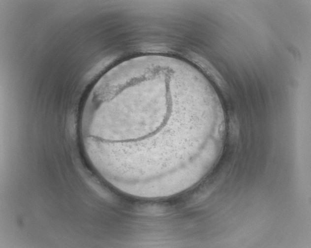 X0000115030533200911231114