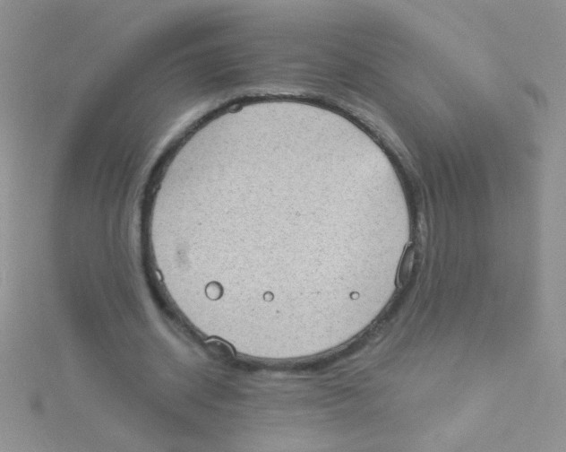 X0000115030534200911231114