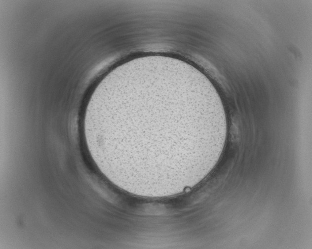 X0000115030535200911231114