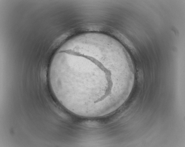 X0000115030537200911231114