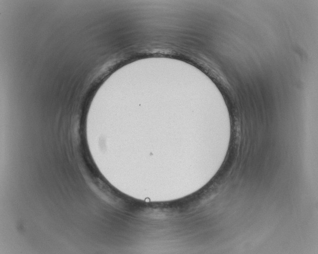 X0000115030538200911231114