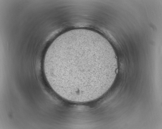 X0000115030539200911231114