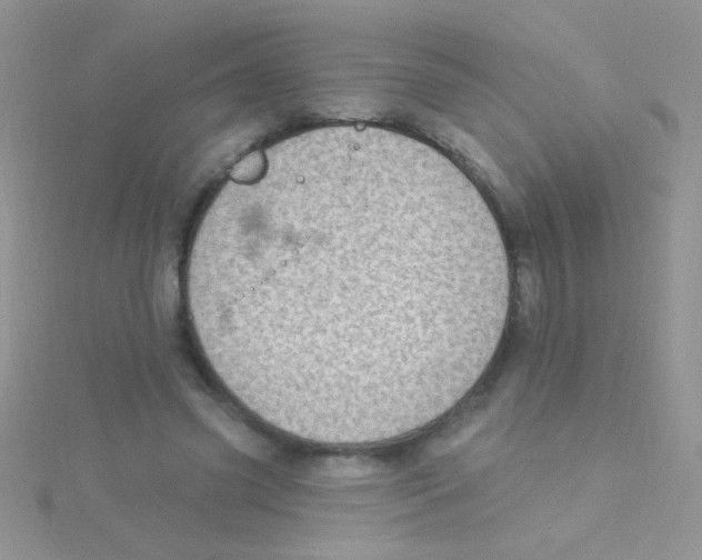 X0000115030541200911231114